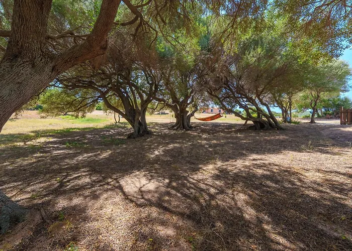 Apartamento Casa Ginepro Piscina E Vista Mare Aglientu